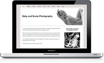 Premium Website Example